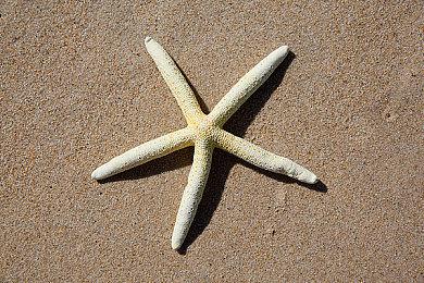 开发商曾考虑再次推迟《光环：无限》但决定力争反对